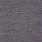 304903 - PRUGNA